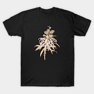 Gold Prism Mosaic Pleomele Botanical Illustration T-Shirt